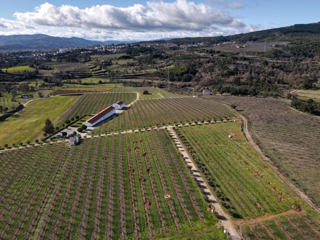 Quinta Lourena - Casa Do Caseiro Covilhã Eksteriør bilde